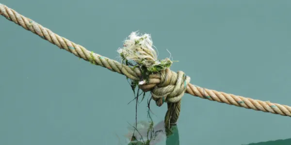 Deep Dive on Broken Links